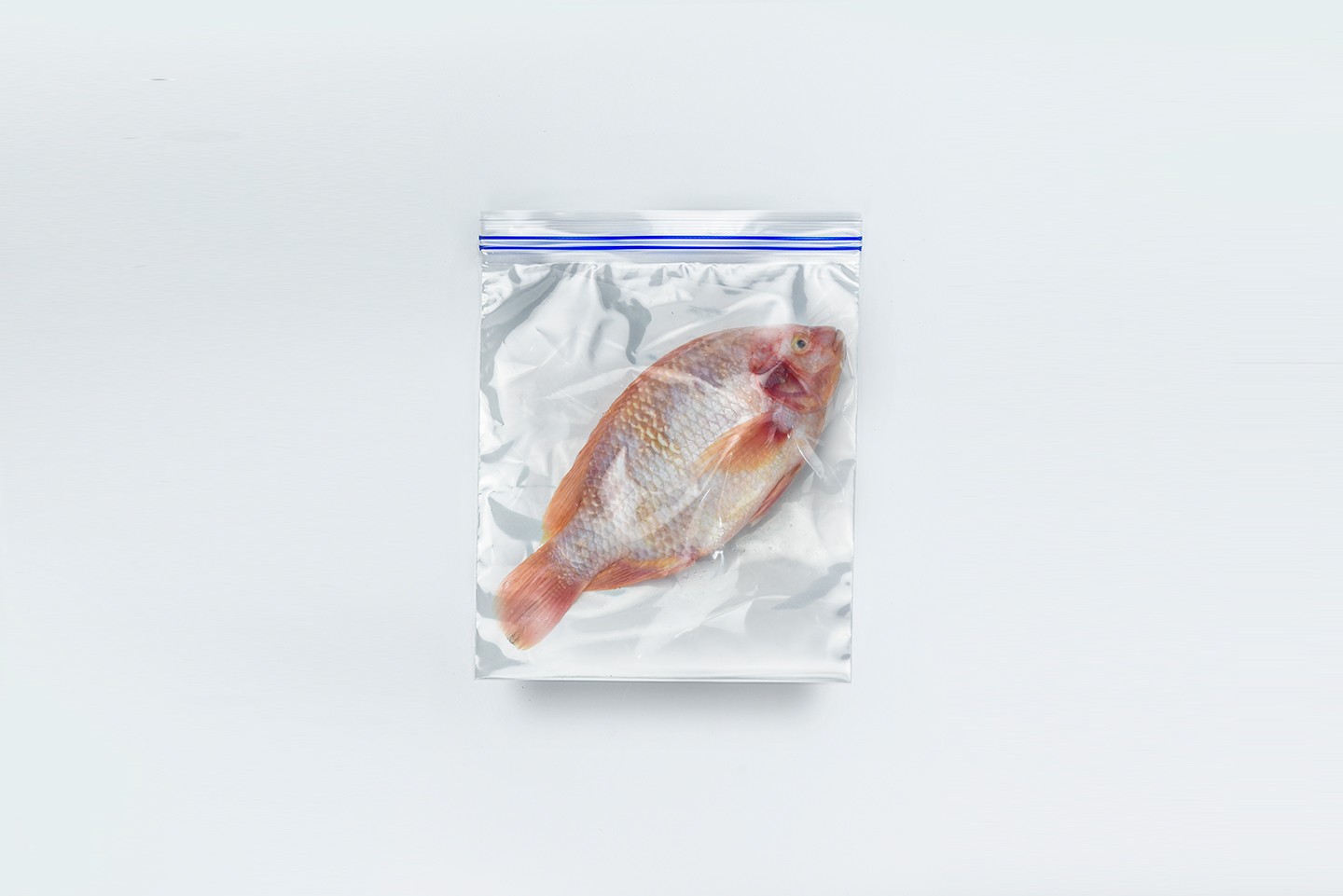 Zipper Bags
